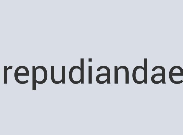 Aerodynamic Aluminum Portalite